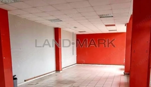 Show room de inchiriat,115 mp sau 320 mp, Zona Lugojului