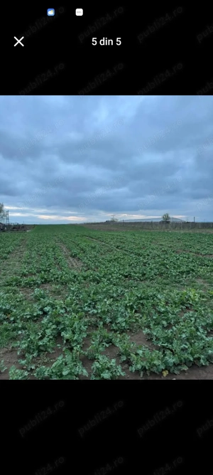 Vând teren  - imagine 2