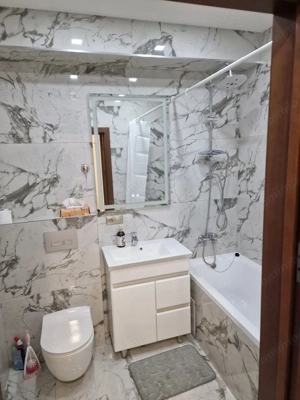 Apartament cu o camera de vanzare in zona Aradului - imagine 2