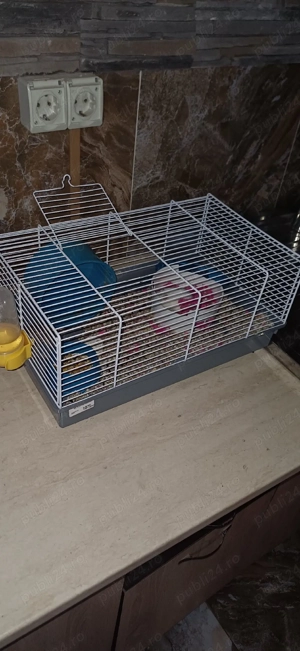 de vânzare hamster+cușcă  - imagine 2
