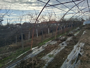 Vand 3 solarii ,in suprafață de 10 arii