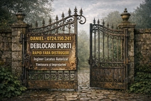 Lacatus Deblocari Usi Timisoara Rapid Fara Distrugere - imagine 2
