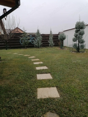 Casa Geamana Bradu , 466 mp teren - imagine 2