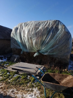 vand baloti de ovaz cosit - imagine 2