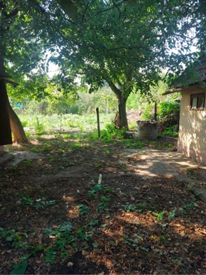 casa de vanzare in Arad - imagine 8