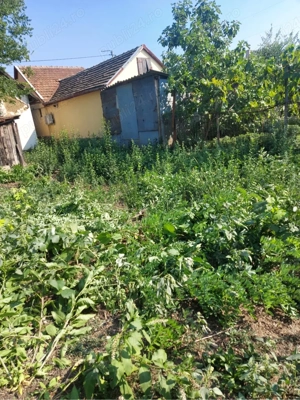 casa de vanzare in Arad - imagine 9