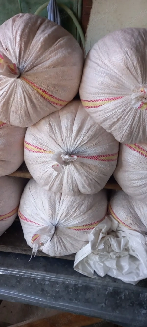 vînd  porumb  la sac