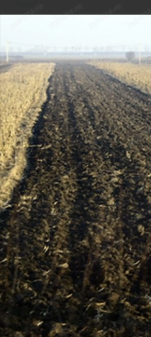 Vand teren extravilan 1ha, Valea Nucarilor,Tulcea  - imagine 2