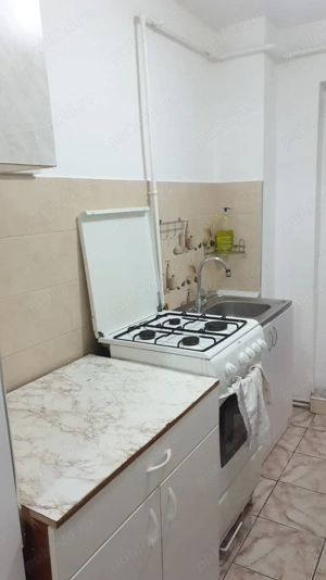 Parter la bulevard | Vad comercial excelent   Mioriței - imagine 9