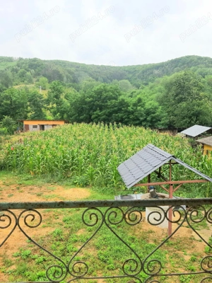 Teren cu casă  - imagine 4