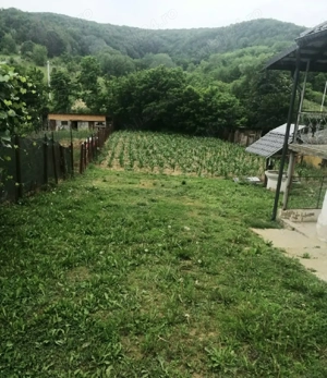 Teren cu casă  - imagine 13