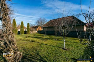 FILM! Casa traditionala, pe domeniu pretios, de 7.608 mp, Cernat, Covasna - imagine 7