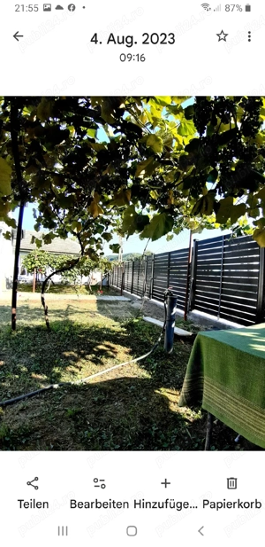 Teren cu casă  - imagine 18