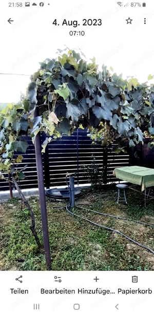 Teren cu casă  - imagine 19