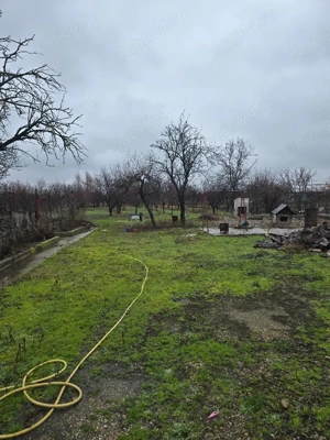 Vand casa plus anexa Tamaseu  SC-200 mp , teren 3040 mp , gaz , la sosea , aproape strand   - imagine 9