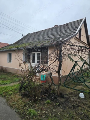 Vand casa plus anexa Tamaseu  SC-200 mp , teren 3040 mp , gaz , la sosea , aproape strand   - imagine 8