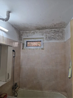 Baiat serios execut lucrari constructi - imagine 3