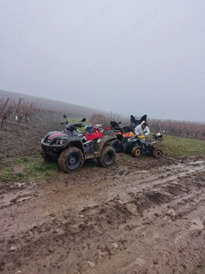 Atv TGB Blade 325 - imagine 2