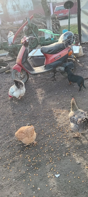 vind scuter - imagine 2