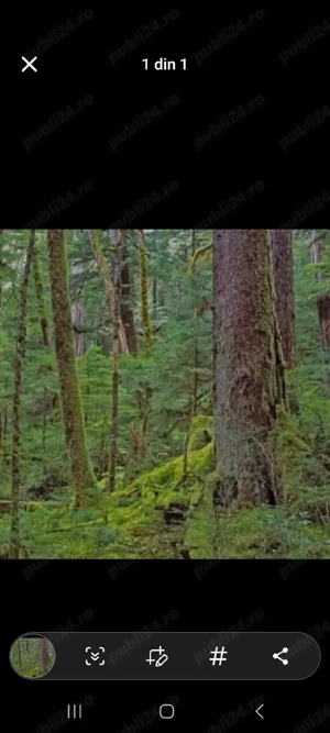 Vand pădure si teren agricol