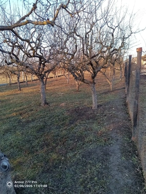 Teren intravilan - imagine 5