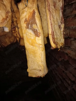 vând slănină 