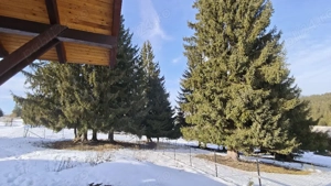 Cabana 150mp Piatra Fântânele  - imagine 3