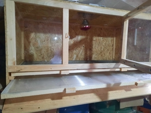 Vand maternitate pt 100 de pui - imagine 3