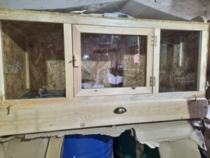 Vand maternitate pt 100 de pui