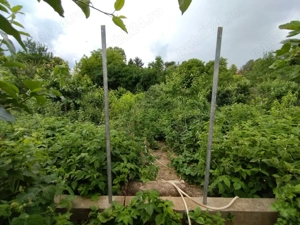 Casa cu 3 camere in Ineu - imagine 10