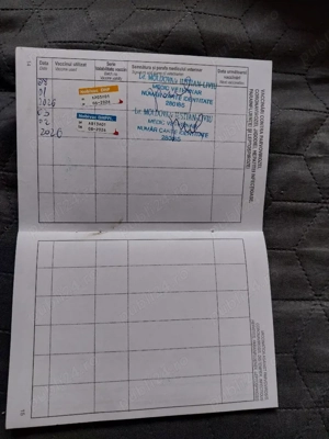 Ciobanesc Belgian  - imagine 4