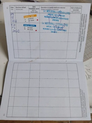 Ciobanesc Belgian  - imagine 4