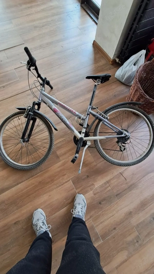 Bicicleta de vanzare. 