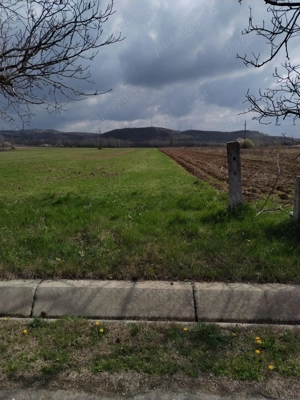 Teren 5000 m2 lingă Simian