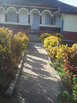 Casa la tara (Raristea , langa Sf.Andrei) - imagine 3