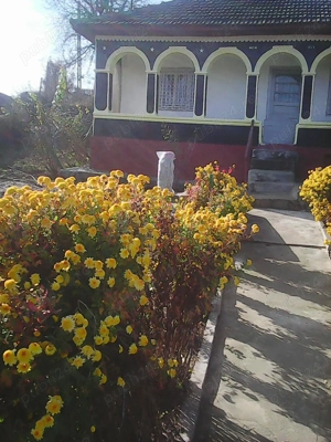 Casa la tara (Raristea , langa Sf.Andrei) - imagine 2