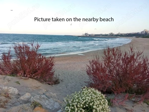 Apartament 2 camere de inchiriat, Constanta, Centru, langa Plaja Aloha - imagine 2