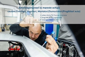 Angajam profesinonisti auto in Olanda (Tinichigii, Vopsitori, Montatori Demontatori)