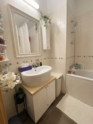 Proprietar Asmita gardens Tineretului Unirii Timpuri noi terasa 25mp - imagine 5