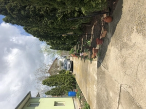 Vând casă Pădureni Jebel - imagine 5