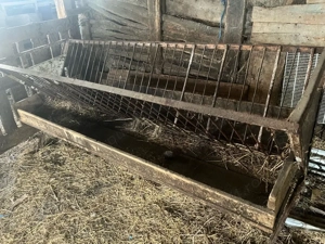 vand scari pentru oi - imagine 3