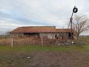 Ferma de animale - imagine 2