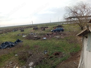 Ferma de animale - imagine 4