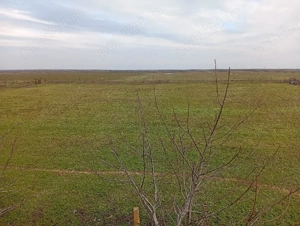 Ferma de animale - imagine 3