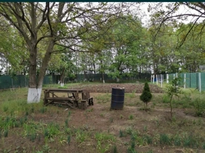 Teren intravilan Cazasu  - imagine 2