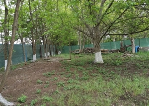 Teren intravilan Cazasu 