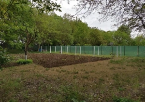 Teren intravilan Cazasu  - imagine 4