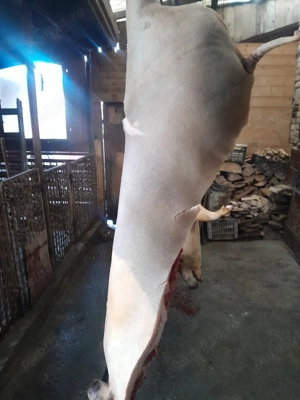 Carcasă porc - imagine 3