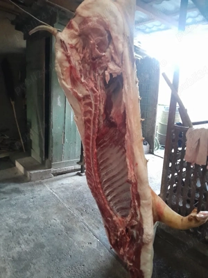 Carcasă porc