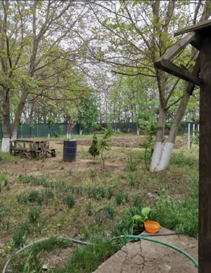 Teren intravilan Cazasu  - imagine 5